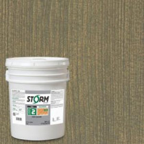 Storm System Category 2 5 gal. Weekend Escape Exterior Semi-Transparent Dual Dispersion Wood Finish - 225C124-5