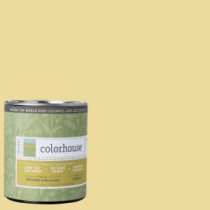 Colorhouse 1-qt. Aspire .03 Semi-Gloss Interior Paint - 683132