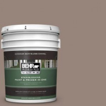 BEHR Premium Plus Ultra 5-gal. #PMD-52 Flower Wood Semi-Gloss Enamel Exterior Paint - 585405