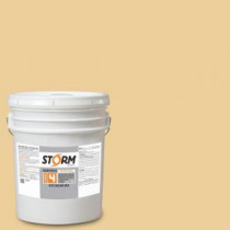 Storm System Category 4 5 gal. Susan's Glow Matte Exterior Wood Siding 100% Acrylic Latex Stain - 412M142-5