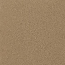 Ralph Lauren 13 in. x 19 in. #RR137 Mudstone River Rock Specialty Paint Chip Sample - RR137C