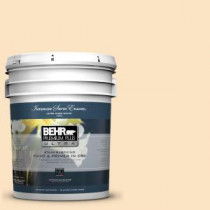 BEHR Premium Plus Ultra Home Decorators Collection 5-gal. #HDC-CT-03 Candlewick Satin Enamel Interior Paint - 775005