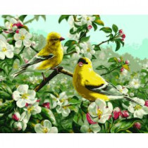 Plaid Paint by Number 16 in. x 20 in. 23-Color Kit Goldfinches Paint by Number - 21680