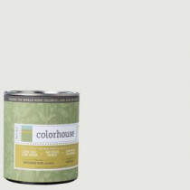 Colorhouse 1-qt. Imagine .05 Semi-Gloss Interior Paint - 683453