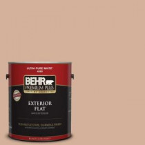 BEHR Premium Plus 1-gal. #S210-3 Sweet Tea Flat Exterior Paint - 440001
