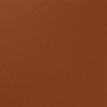 Ralph Lauren 13 in. x 19 in. #RR121 Grand Arroyo River Rock Specialty Paint Chip Sample - RR121C