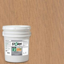 Storm System Category 2 5 gal. Sandy Pointe Exterior Semi-Transparent Dual Dispersion Wood Finish - 225C120-5