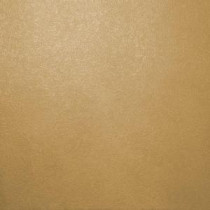 Ralph Lauren 13 in. x 19 in. #ME133 Golden Buttermilk Metallic Specialty Paint Chip Sample - ME133C
