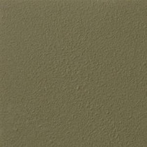 Ralph Lauren 13 in. x 19 in. #RR123 English Jasper River Rock Specialty Paint Chip Sample - RR123C