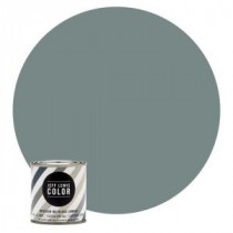 Jeff Lewis Color 8 oz. #JLC311 Salt Water No-Gloss Ultra-Low VOC Interior Paint Sample - 108311