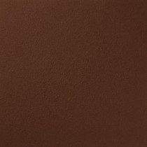 Ralph Lauren 13 in. x 19 in. #RR119 Blood Stone River Rock Specialty Paint Chip Sample - RR119C