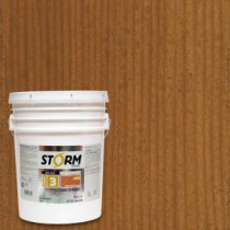 Storm System 5 gal. Nature Trail Exterior Semi-Solid Dual Dispersion Wood Finish - 345C118-5