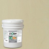 Storm System Category 2 5 gal. Winter Summit Exterior Semi-Transparent Dual Dispersion Wood Finish - 225C125-5