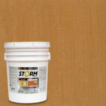 Storm System Category 3 5 gal. Natural Exterior Semi-Solid Dual Dispersion Wood Finish - 345C115-5