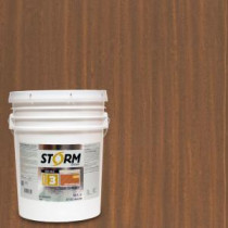 Storm System Category 3 5 gal. Earthlink Exterior Semi-Solid Dual Dispersion Wood Finish - 345C110-5