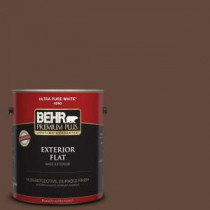 BEHR Premium Plus 1-gal. #S-G-760 Chocolate Coco Flat Exterior Paint - 430001