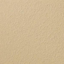 Ralph Lauren 13 in. x 19 in. #RR129 Frosted Hawthorn River Rock Specialty Paint Chip Sample - RR129C