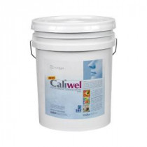 Caliwel HVAC 5-gal. Opaque Antimicrobial & Anti-Mold Surface Coating - 850856h