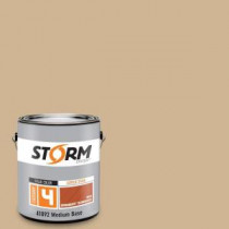 Storm System Category 4 1 gal. Naked Exterior Wood Siding, Fencing and Decking Acrylic Latex Stain with Enduradeck Technology - 418M137-1