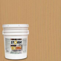 Storm System Category 3 5 gal. Marshview Exterior Semi-Solid Dual Dispersion Wood Finish - 345C112-5