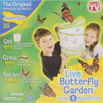 Insect Lore Live Butterfly Garden Kit - 01010
