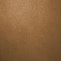 Ralph Lauren 13 in. x 19 in. #ME134 Golden Light Metallic Specialty Paint Chip Sample - ME134C